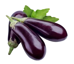 eggplant